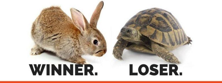 In Business, The Hare Would Win Every-time - Tech Whisperer